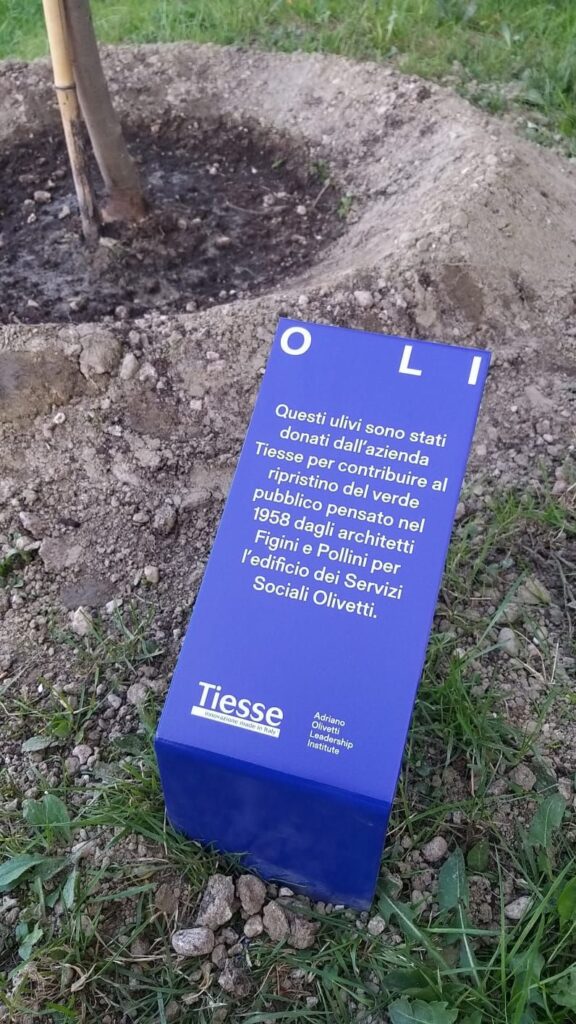Tiesse partecipa all’iniziativa “Piantare alberi, raccogliere libri”, organizzata da OLI – Adriano Olivetti Leadership Institute. Sabato 9 aprile si è tenuta l’inaugurazione dell’iniziativa e Tiesse ha donato 2 ulivi per la rigenerazione degli spazi verdi degli edifici degli ex Servizi Sociali e Biblioteca Olivetti in Via Jervis 24 a Ivrea. Durante il pomeriggio, oltre ai festeggiamenti per i nuovi alberi piantati, è stata proposta una tavola rotonda sul tema del valore sociale/emancipativo/terapeutico de