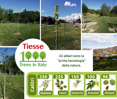 1000trees