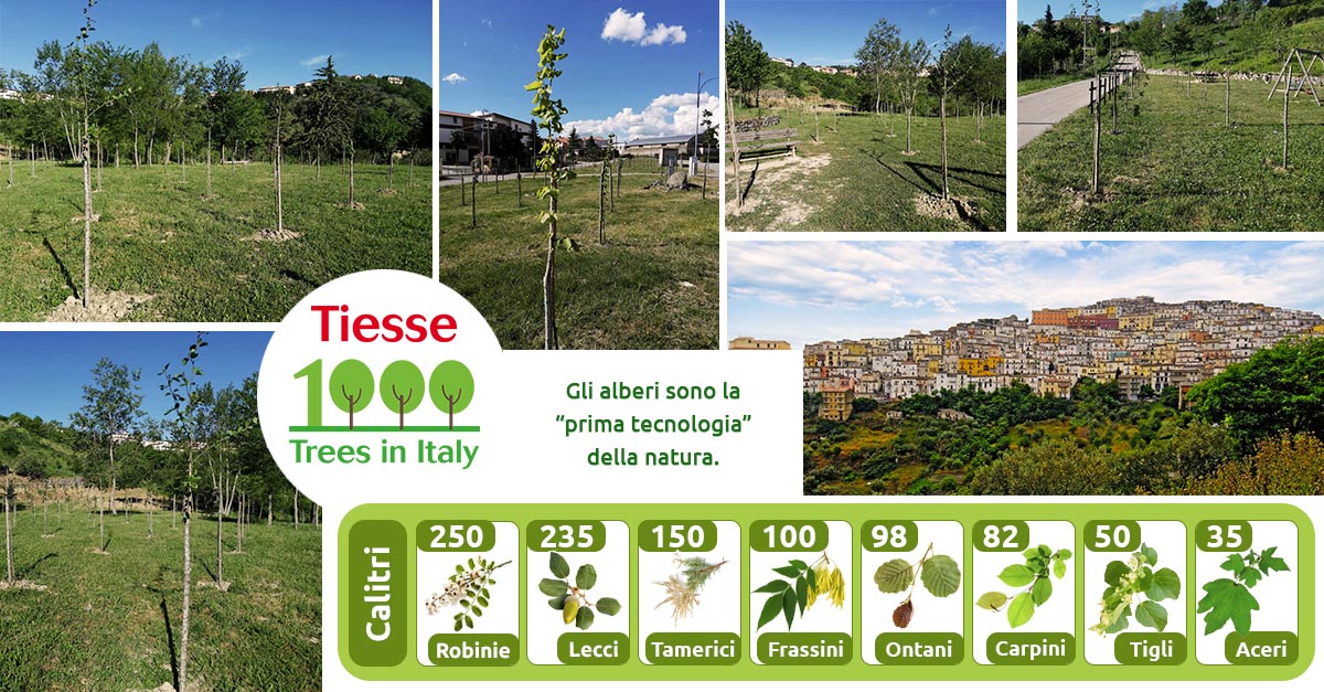 Tiesse porta avanti il progetto "1000 alberi in Italia", piantando a Calitri 8 specie diverse per un totale di mille unità.